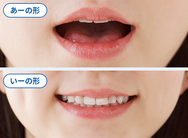 写真：奥歯のコツ