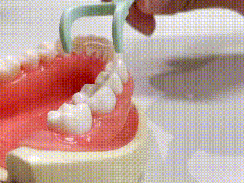 動画：挿入方法