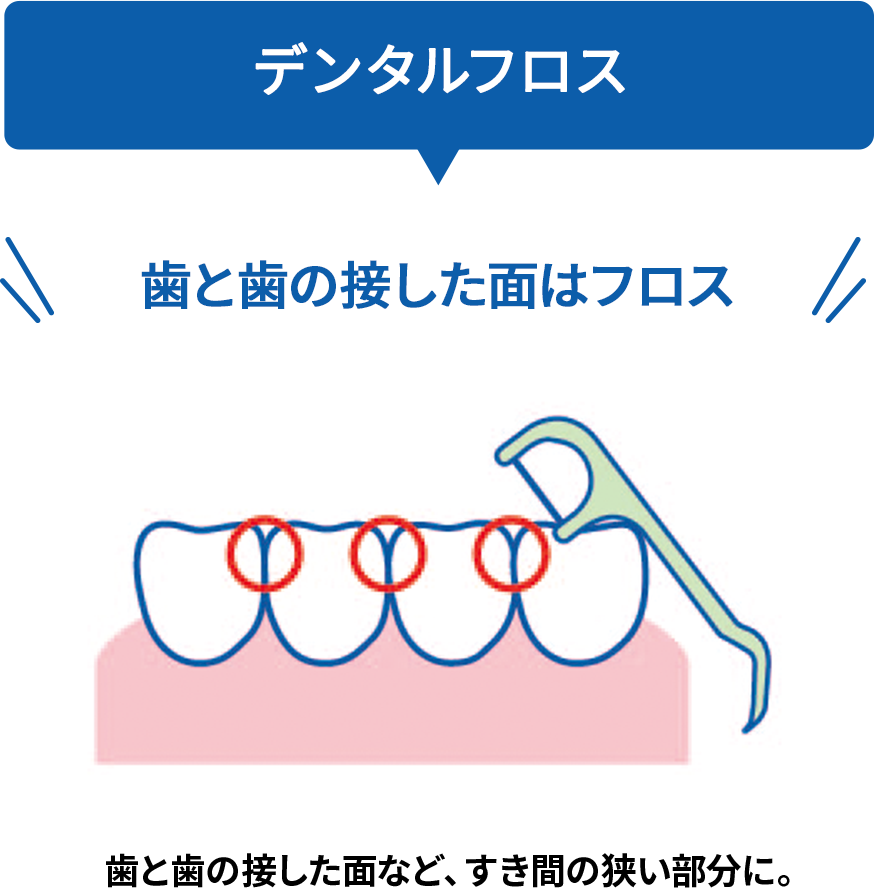 デンタルフロス 歯と歯の接した面はフロス 歯と歯の接した面など、すき間の狭い部分に。
