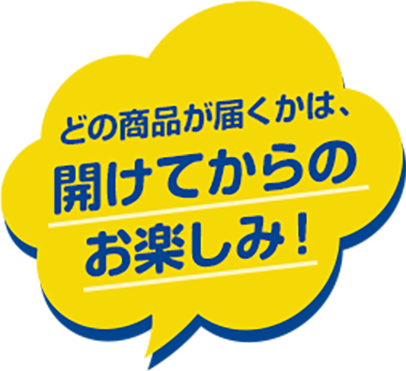 どの商品が届くかは、開けてからの お楽しみ！