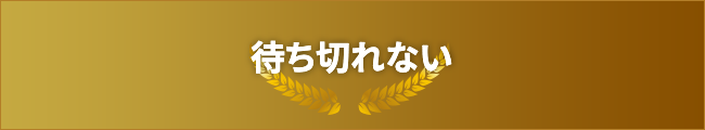 待ちきれない