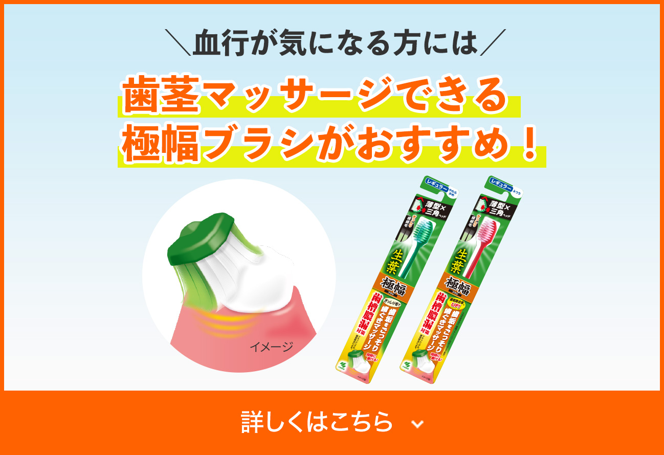 血行が気になる方には歯茎マッサージできる 極幅ブラシがおすすめ！ 