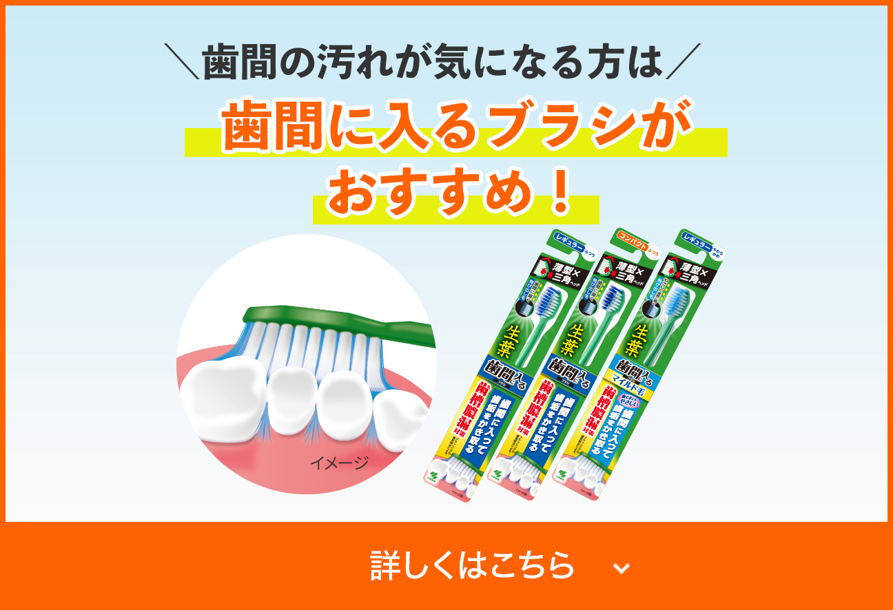 歯間の汚れが気になる方は歯間に入るブラシが おすすめ！