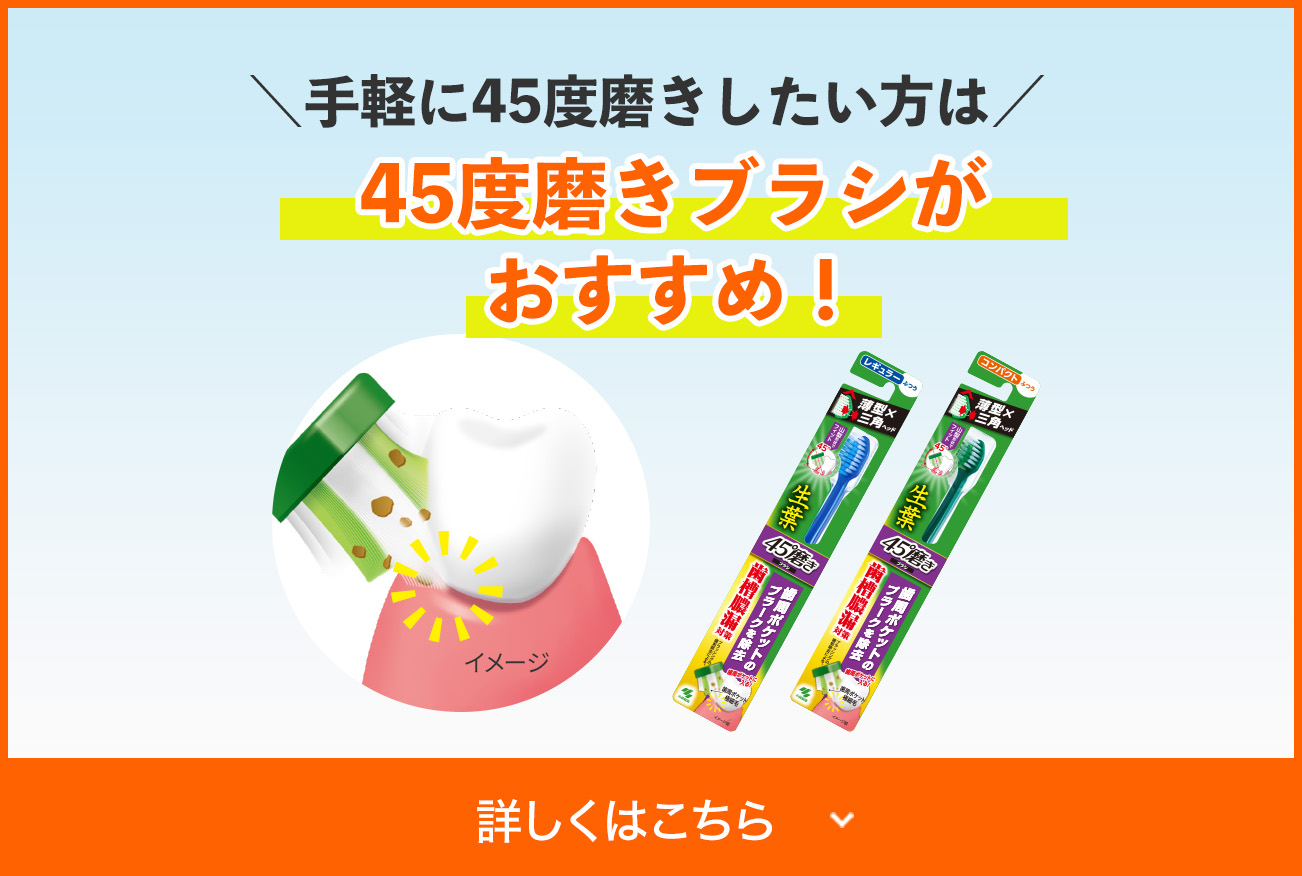 手軽に45度磨きしたい方は45度磨きブラシが おすすめ！