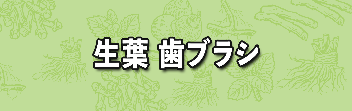 生葉 歯ブラシ