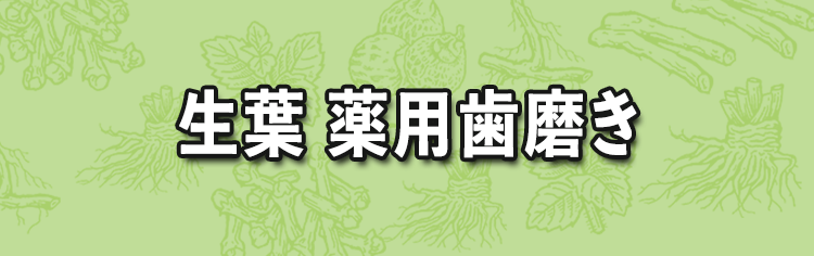 生葉 薬用歯磨き