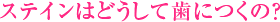 XeC͂ǂĎɂ́H