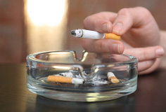 �悭�z���������c