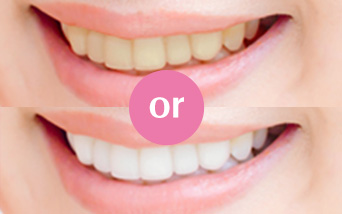 �C�ɂȂ�H�I���̒��F����