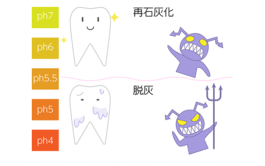 再石灰化：ph7 ph6 ph5.5 脱灰：ph5 ph4