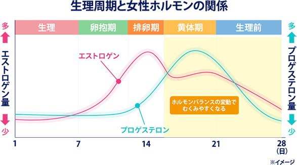 生理周期と女性ホルモンの関係