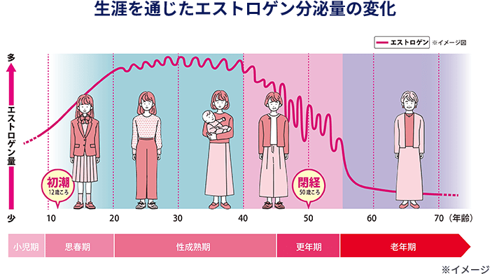 生涯を通じたエストロゲン分泌量の変化