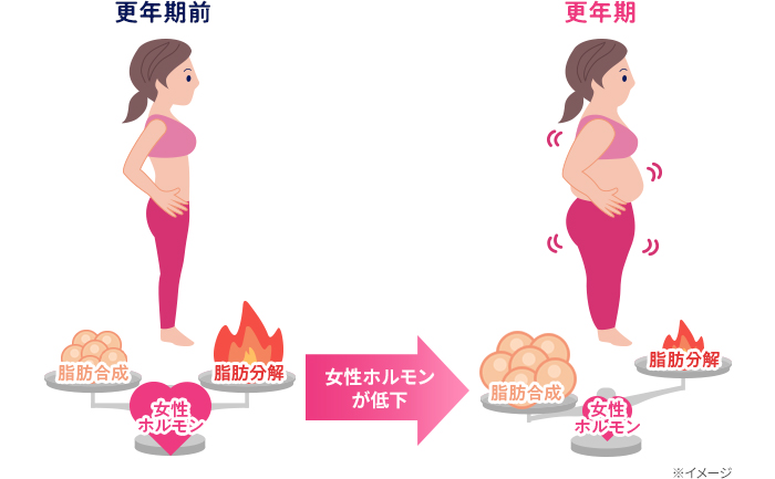 更年期前 女性ホルモンが低下 更年期