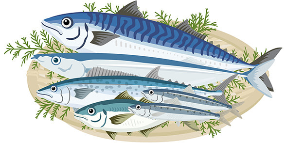 青魚でコレステロールや中性脂肪を減らす
