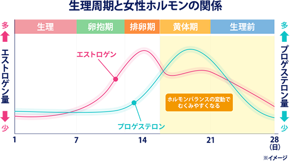 生理周期と女性ホルモンの関係