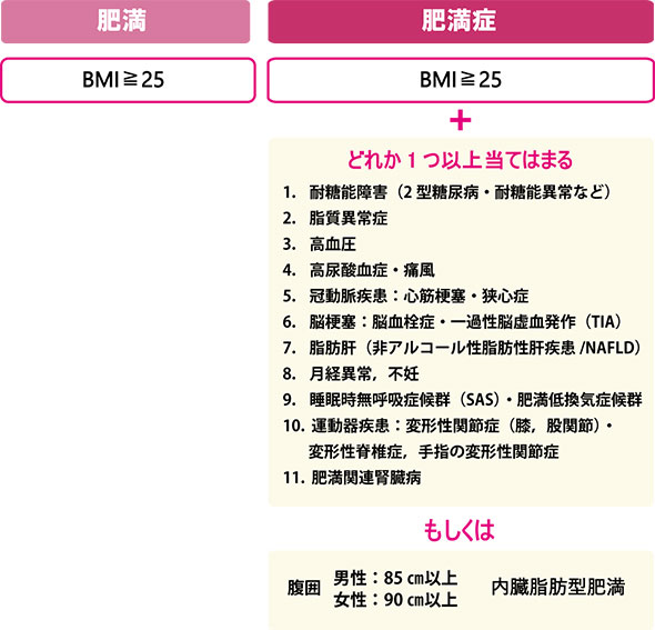 肥満 BMI≧25 肥満症 BMI≧25+どれか一つ当てはまる 1.耐糖能障害（2型糖尿病・耐糖能異常など） 2.脂質異常症 3.高血圧 4.高尿酸血症・痛風 5.冠動脈疾患：心筋梗塞・狭心症 6.脳梗塞：脳血栓症・一過性脳虚血発作（TIA） 7.脂肪肝（非アルコール性脂肪性肝疾患／NAFLD） 8.月経異常、不妊 9.睡眠時無呼吸症候群（SAS）・肥満低換気症候群 10.運動器疾患：変形性関節症（膝、股関節）・変形性脊椎症、手指の変形性関節症 11.肥満関連腎臓病 もしくわ 腹囲 男性：85cm以上 女性：90cm以上 内臓脂肪型肥満