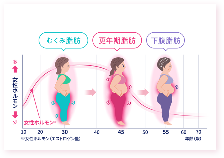 年齢を重ねていくと女性ホルモンの低下により、体型がどんどん変わってしまう… 年齢に伴う女性ホルモンの変化と脂肪の関係 いくつになっても自分が好きな自分でいたい。自信をもって、前向きに。そんな年代別に変わっていく女性の体型への切実な願いに応えるブランドです。