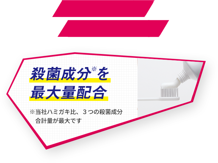 殺菌成分※を最大量配合
      ※当社ハミガキ比、３つの殺菌成分合計量が最大です