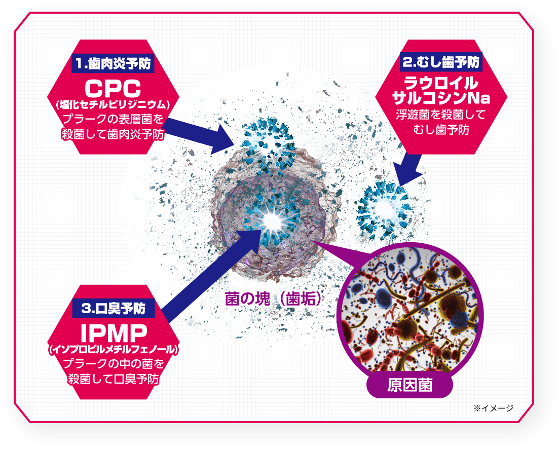 1.歯肉炎予防：CPC(塩化セチルピリジニウム)プラークの表層菌を殺菌して歯肉炎予防 2.むし歯予防：ラウロイルサルコシンNa浮遊菌を殺菌してむし歯予防 3.口臭予防：IPMP(イソプロピルメチルフェノール)プラークの中の菌を殺菌して口臭予防