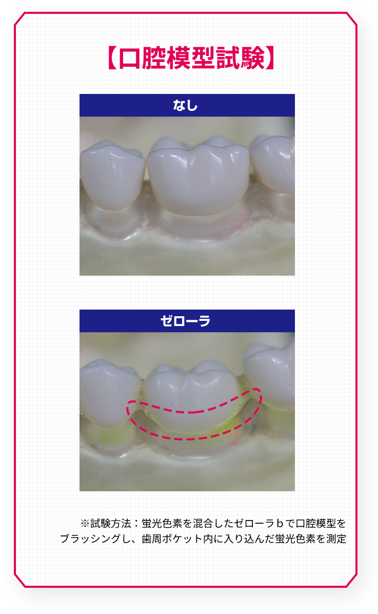 口腔模型試験 ※試験方法：蛍光色素を混合したゼローラｂで口腔模型をブラッシングし、歯周ポケット内に入り込んだ蛍光色素を測定