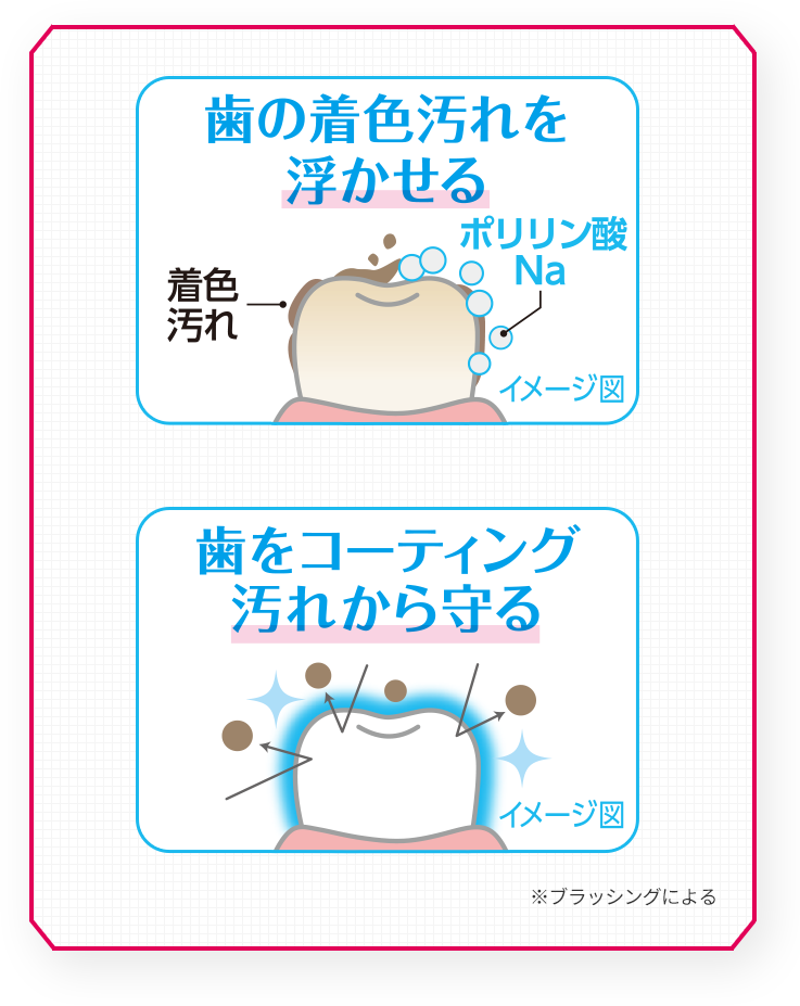 歯の着色汚れを浮かせる 歯をコーティング汚れから守る