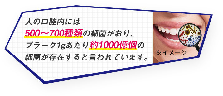 人の口腔内には500～700種類の細菌がおり、プラーク1gあたり約1000億個の細菌が存在すると言われています。