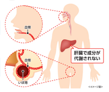 舌下錠の仕組み
