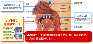 鼻呼吸テープが口を閉じ、鼻呼吸に誘導することで口呼吸を軽減します。