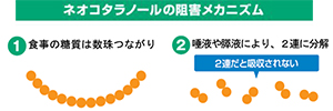 ネオコタラメールの阻害メカニズム
