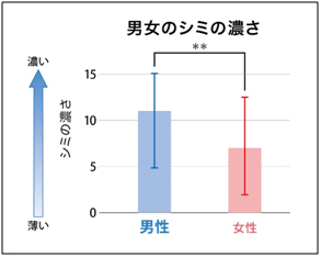 男女のシミの濃さ