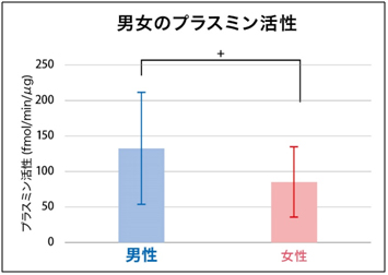 男女のプラスミン活性比較