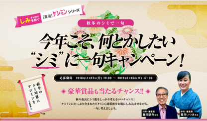 今年こそ、何とかしたい “シミ”に一句キャンペーン！