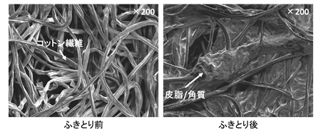図1　ふきとり前後のコットンの電子顕微鏡写真　【自然乾燥処理】