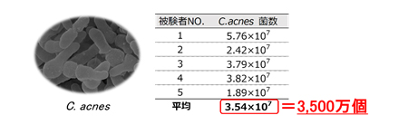 図3　コットン1枚あたりのアクネ菌数