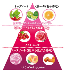 香りの説明図