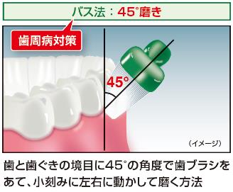 歯科医推奨の「45°磨き」がしやすい山型形状