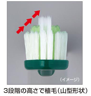 ２種類の毛を３段階の高さで植毛し歯面も逃さない