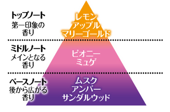 香りの説明図