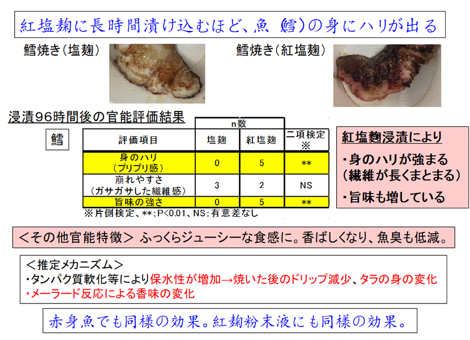 “紅塩麹”の魚肉への効果