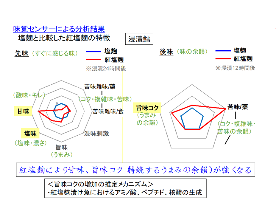 “紅塩麹”の魚肉への効果