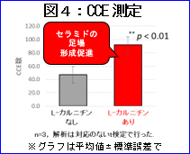 図4：CCE測定