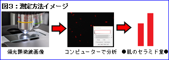 図3：測定方法イメージ