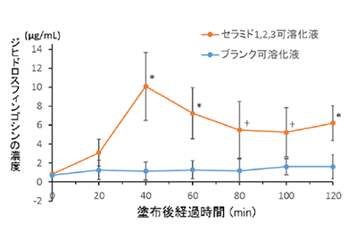 表皮モデルのセラミド透過量