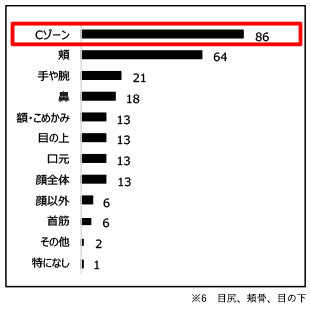 自分のシミの数が多いと思う場所は？