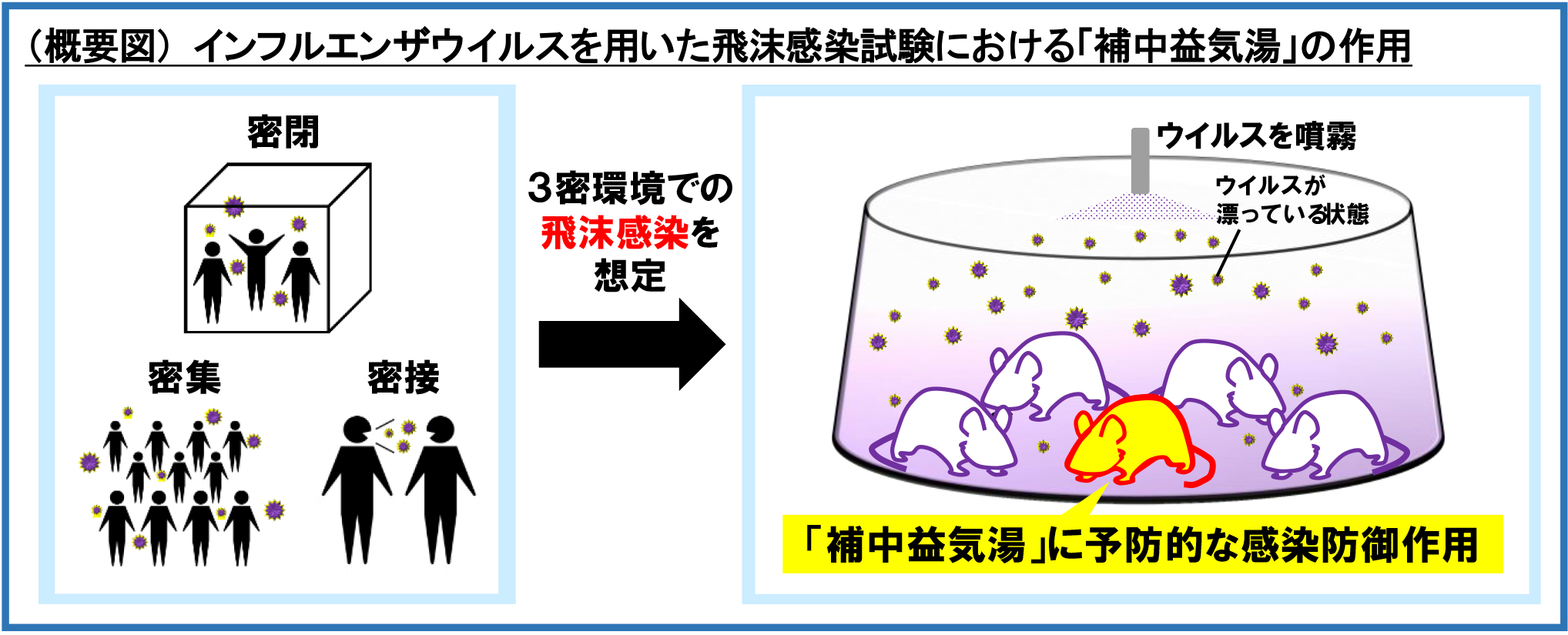 インフルエンザウィルスを用いた飛沫感染試験における「補中益気湯」の作用