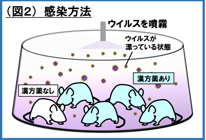 (図2)感染方法
