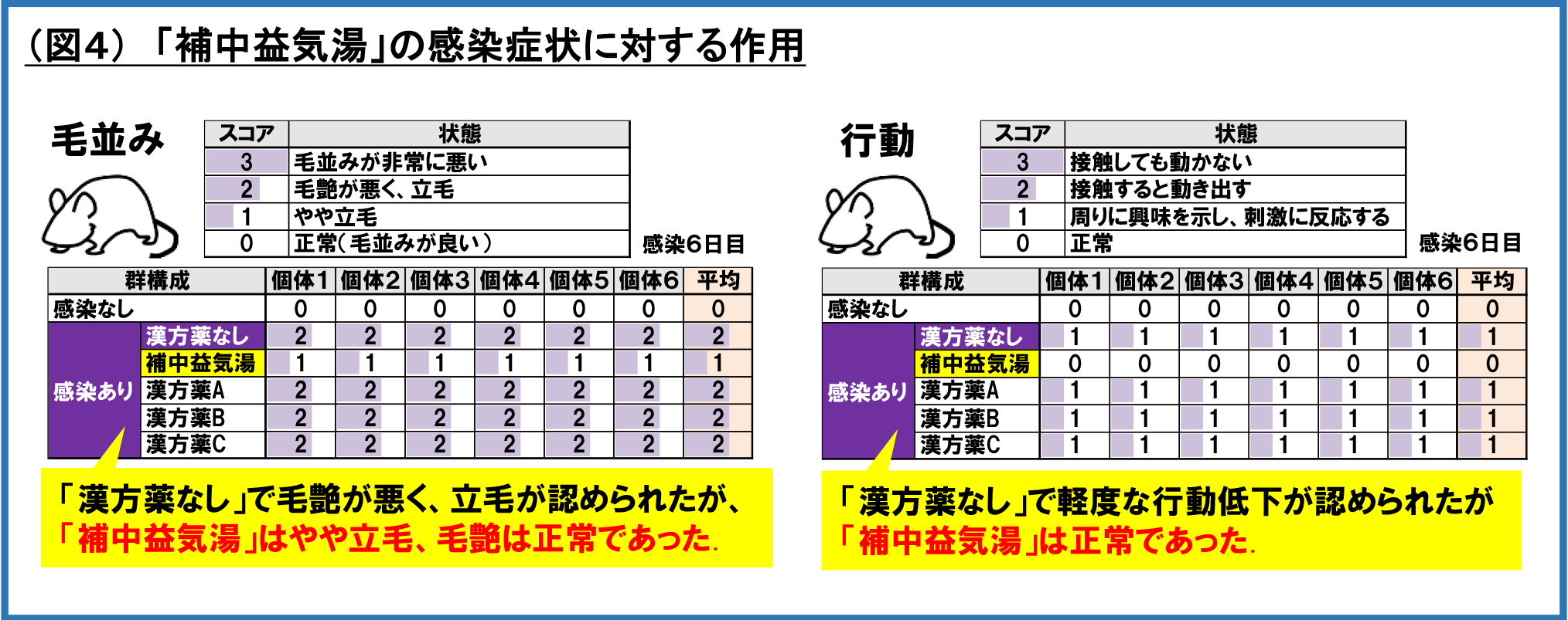 (図4)「補中益気湯」の感染症状に対する作用