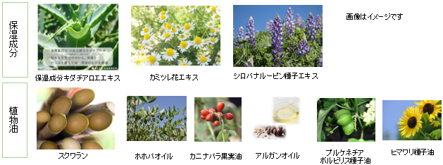 製品の特徴