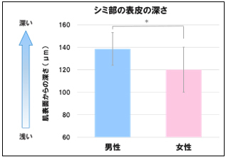 図1　シミ部の表皮の深さ