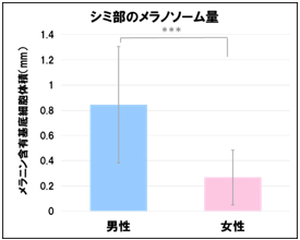 図2　シミ部のメラノソーム量